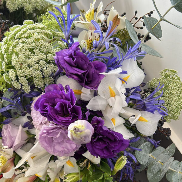 lavender